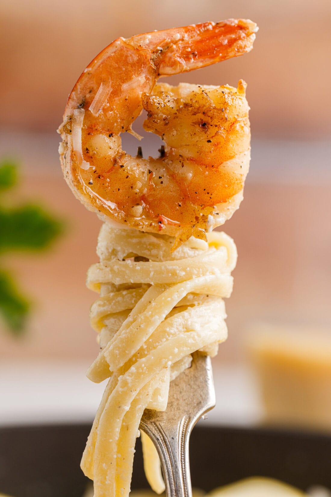 Shrimp Pasta on a fork