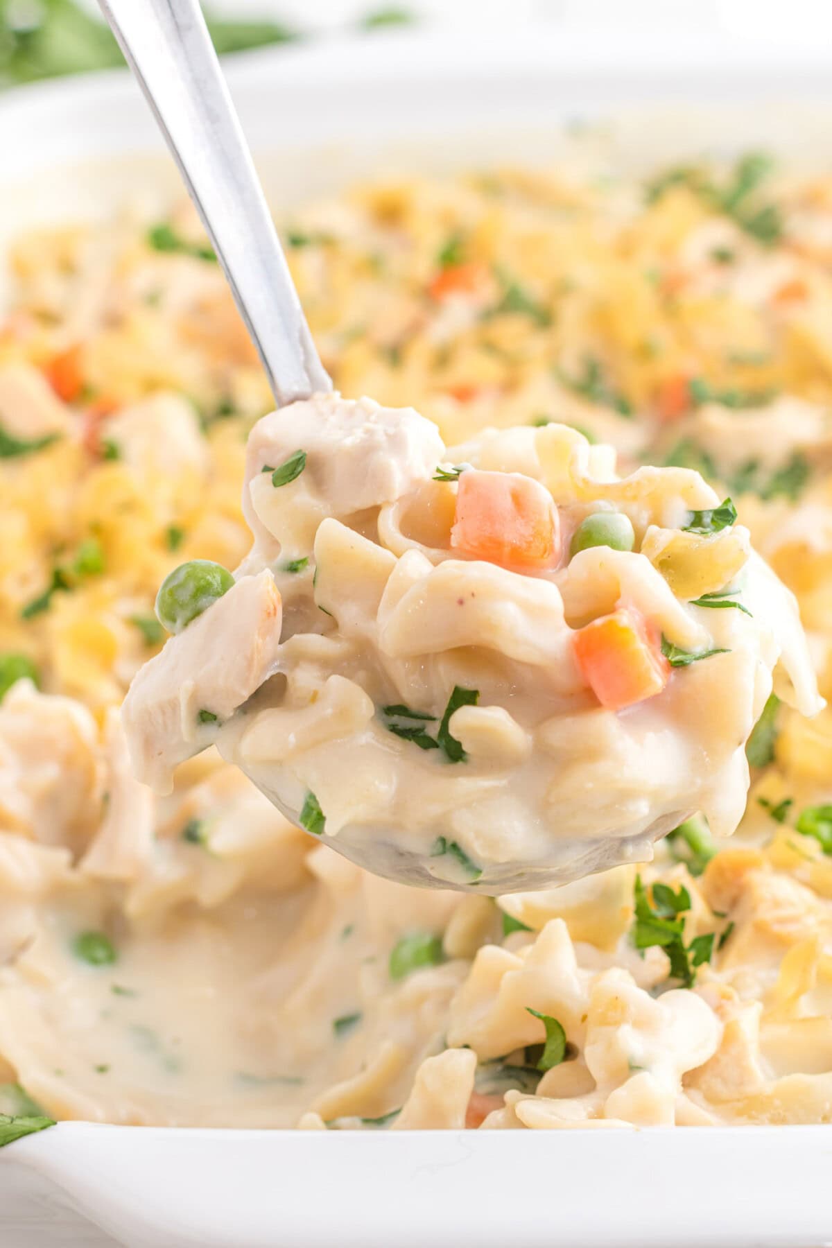 ladle of Chicken Noodle Casserole