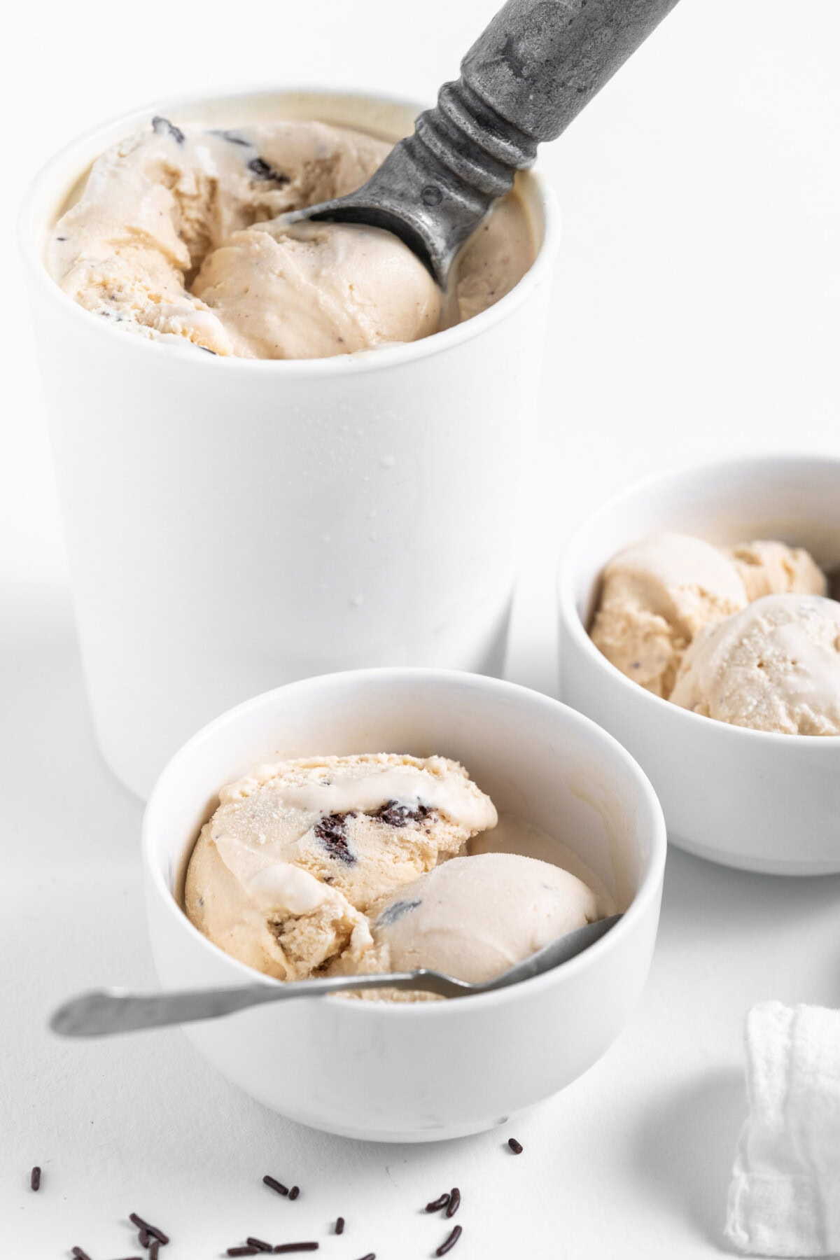 bowl of Peanut Butter Chocolate Chip Ice Cream