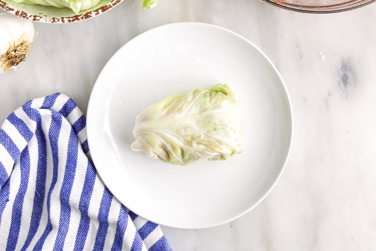cabbage roll on a plate