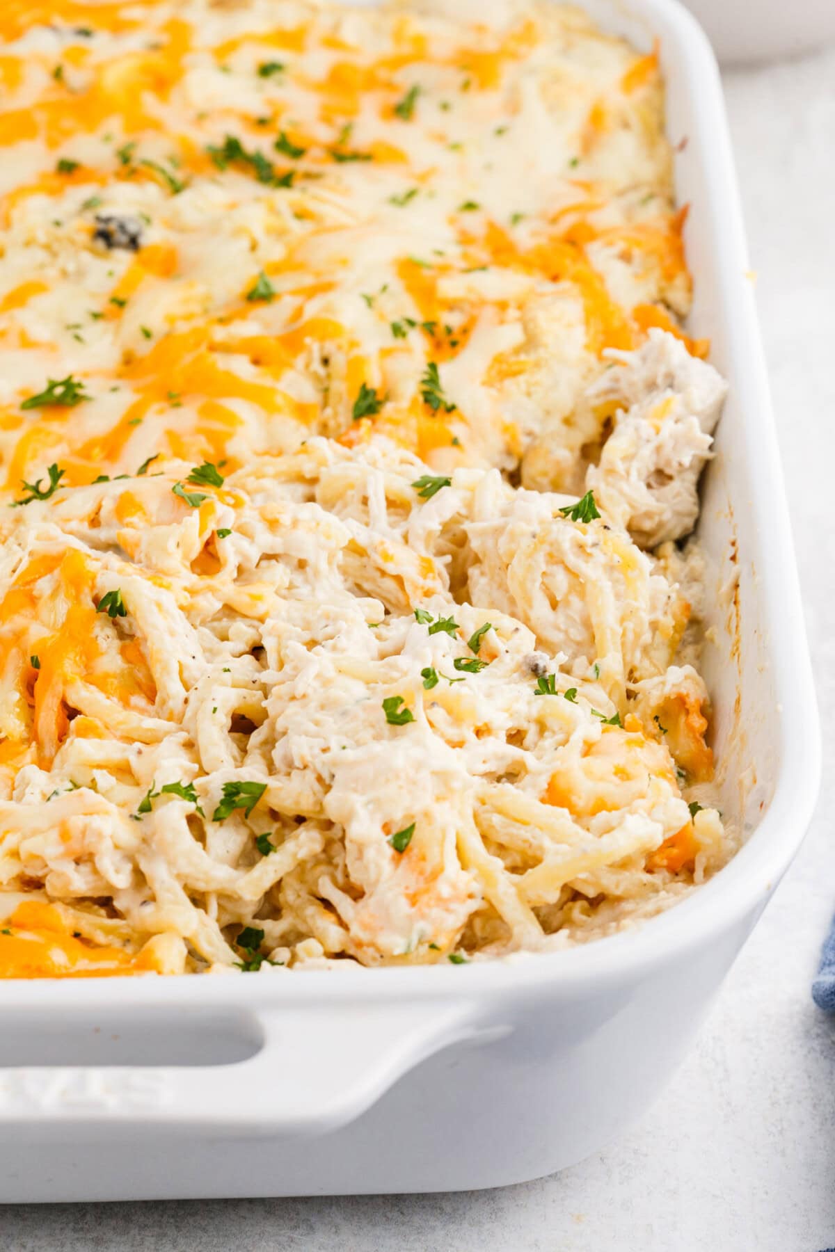 Chicken Tetrazzini in a pan