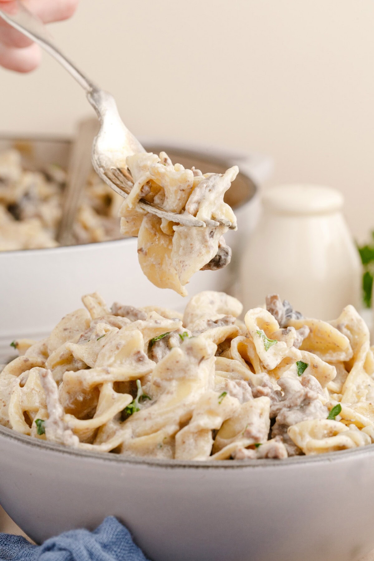 fork of Ground Beef Stroganoff