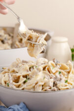 Ground Beef Stroganoff - Amanda's Cookin'