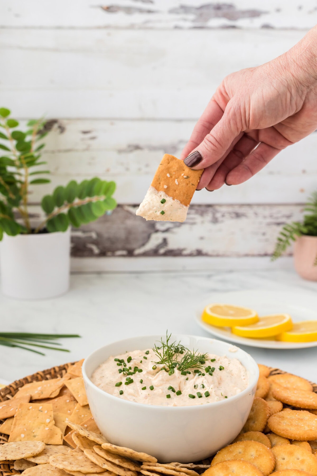 dipping a cracker into Smoked Salmon Dip