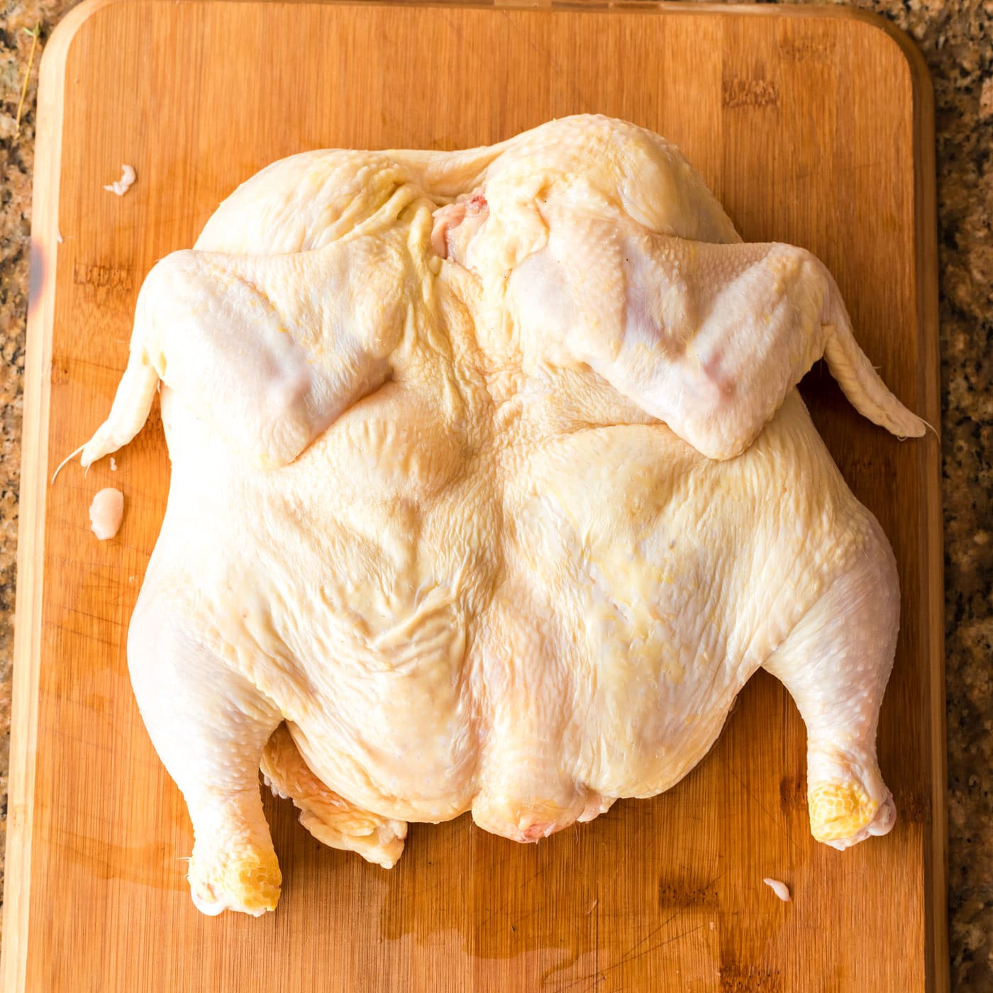 spatchcocking a whole chicken