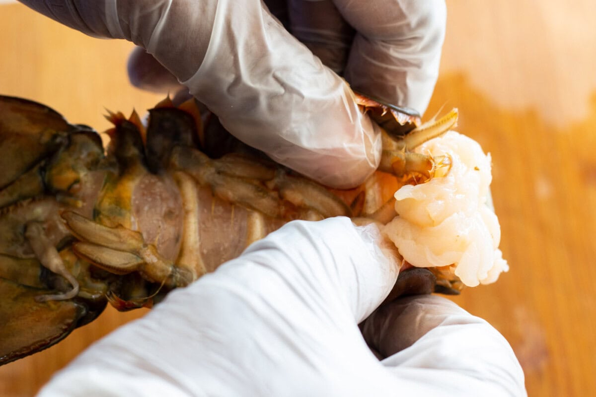 removing lobster meat from its shell