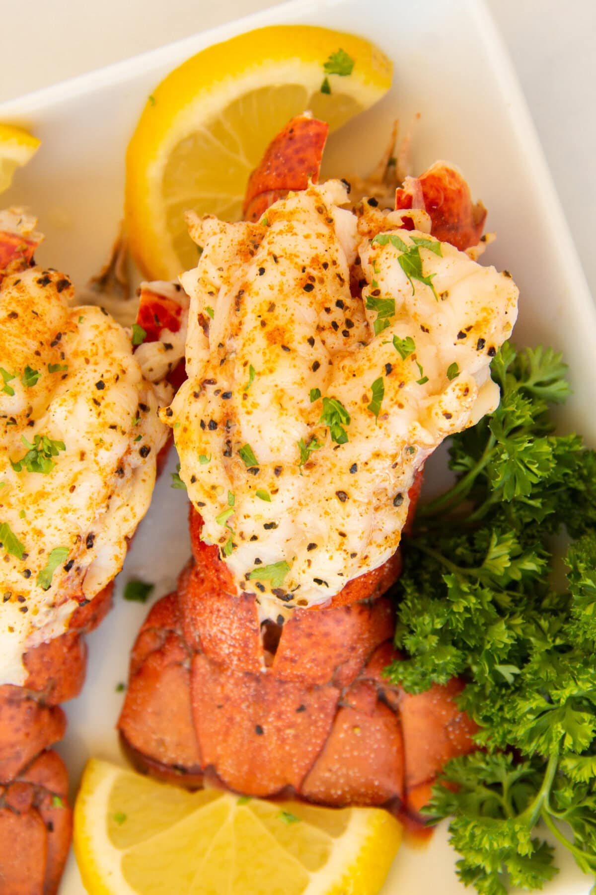 Steamed Lobster Tail on plate with parsley and lemon