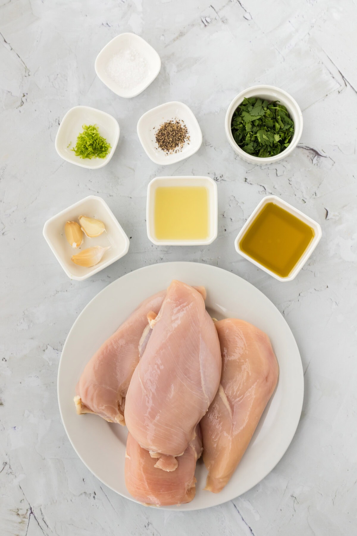 Cilantro Lime Chicken Marinade
