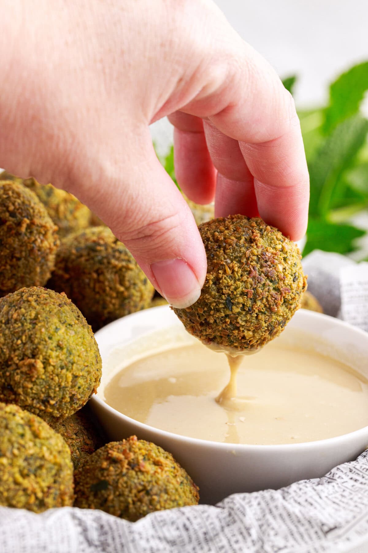 dipping Falafel in sauce