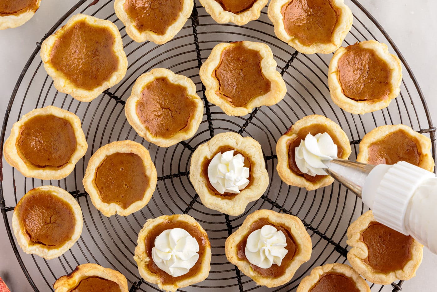 piping whipped cream on top of mini pumpkin pies