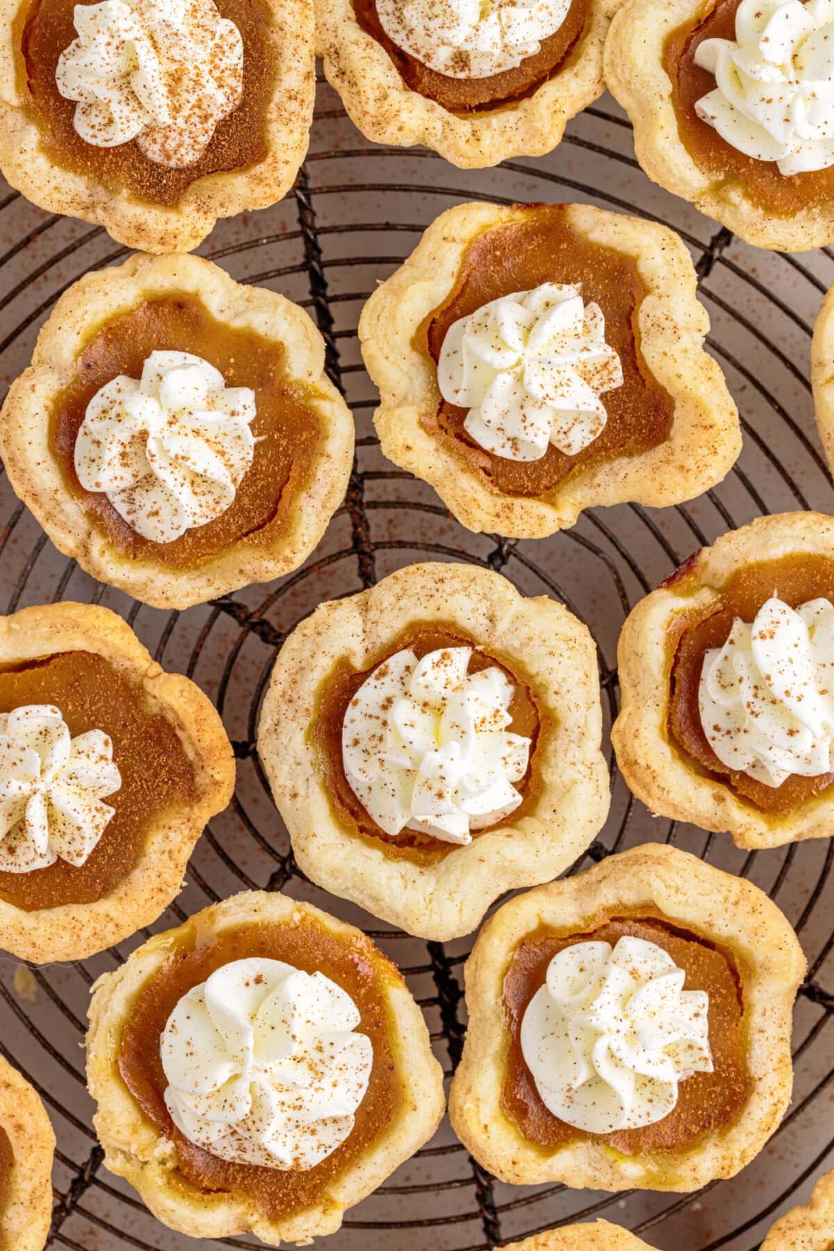 Mini Pumpkin Pies on rack
