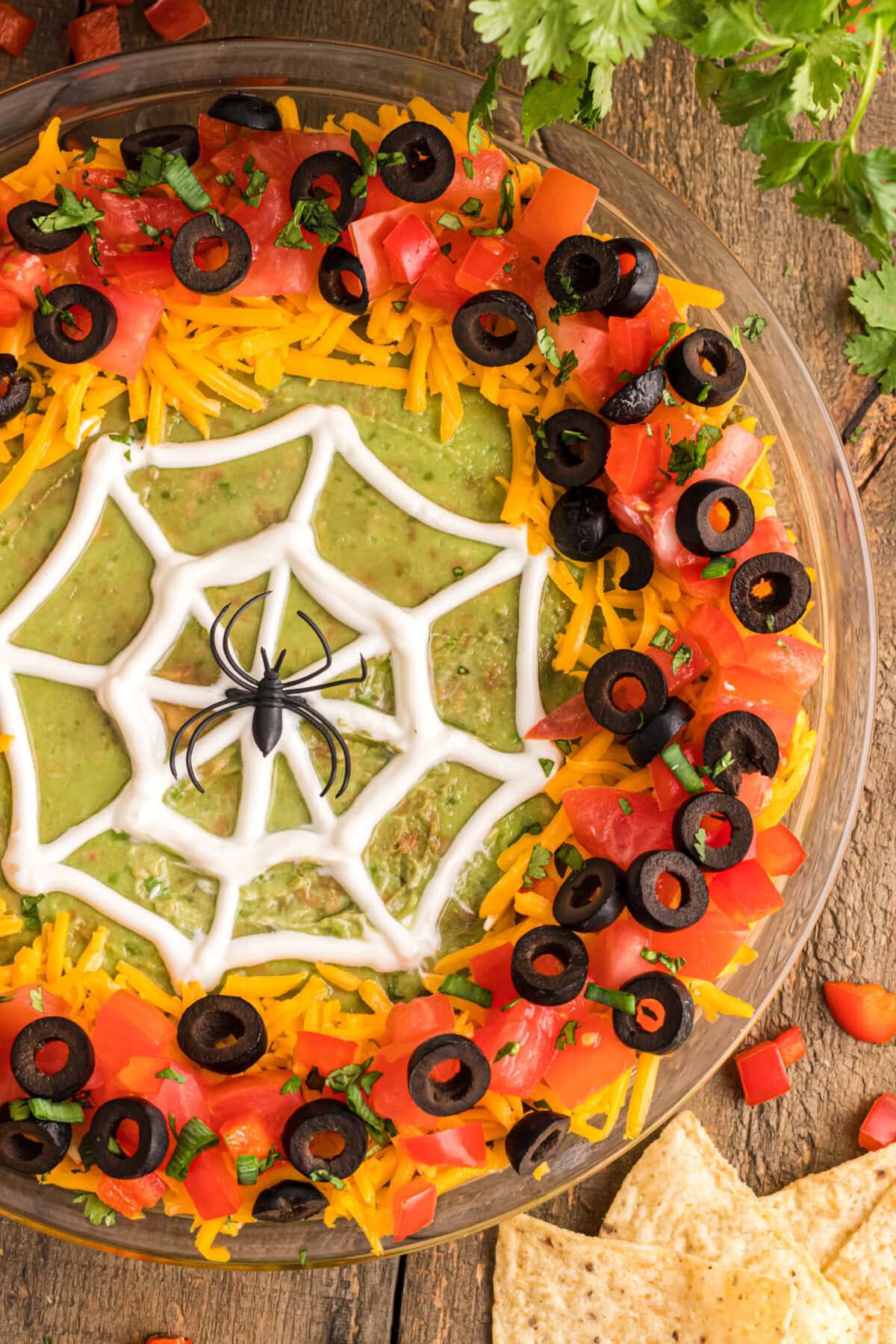 Spider Web Taco Dip with a plastic spider