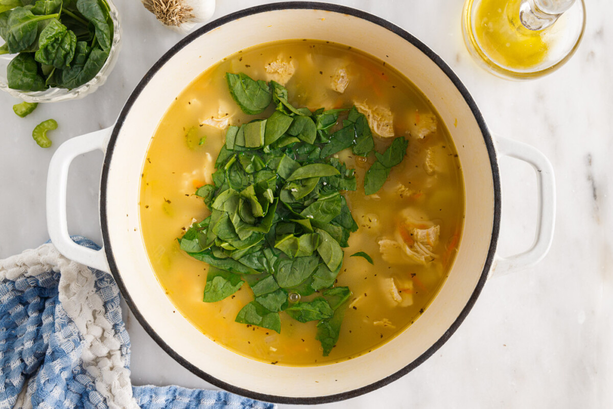 spinach in chicken and gnocchi soup