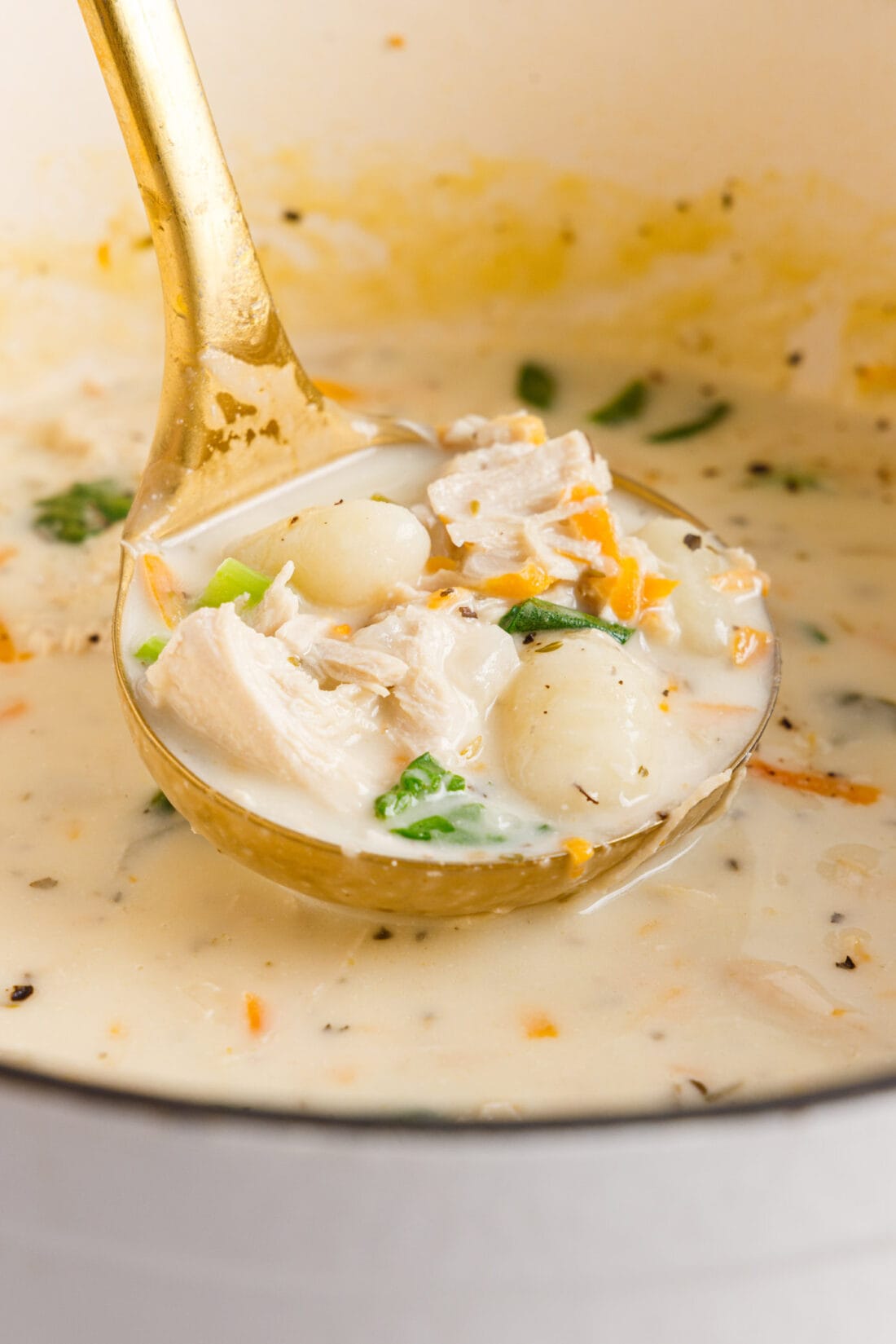 ladel of Chicken Gnocchi Soup