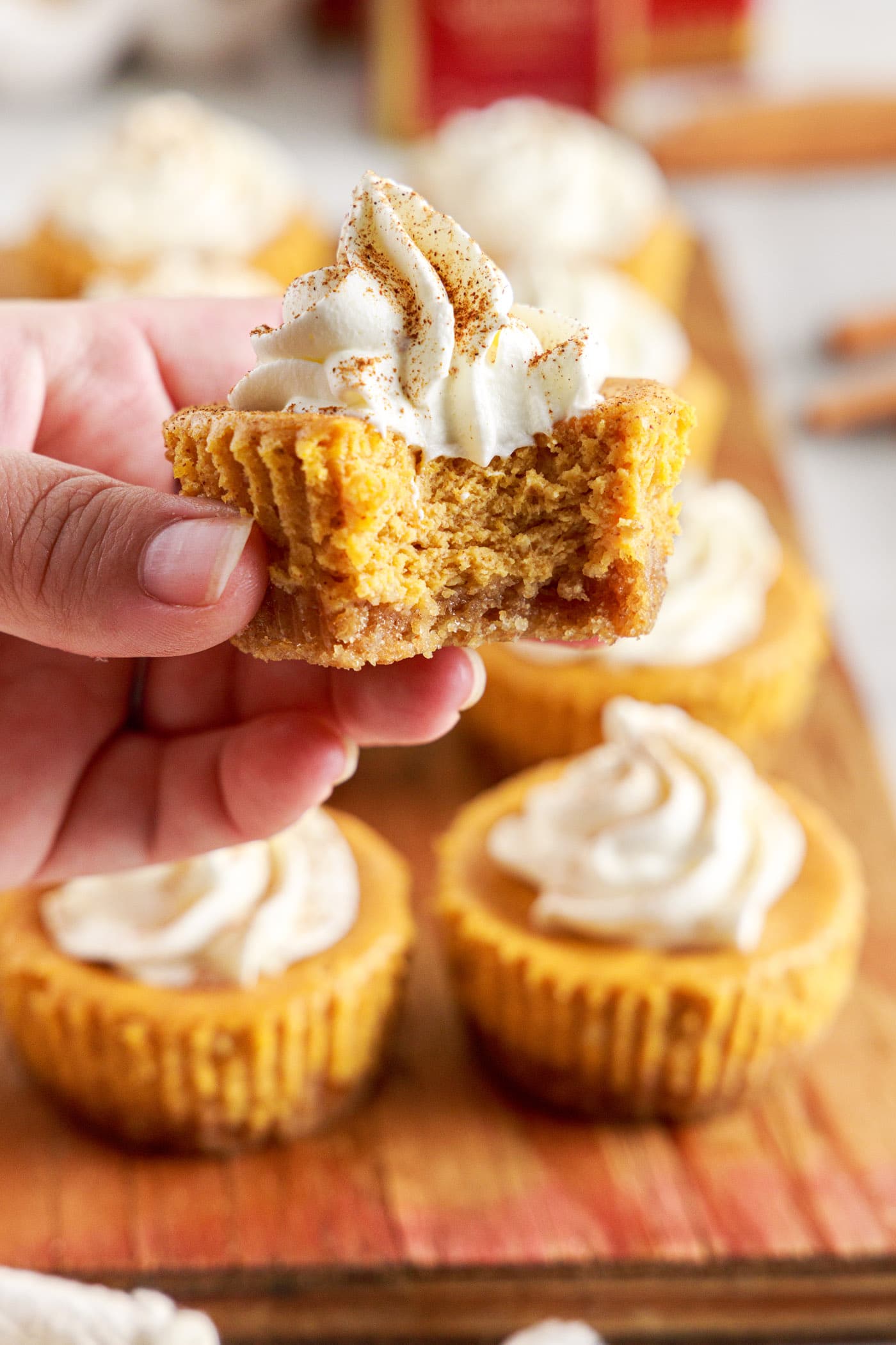 Mini Pumpkin Cheesecakes - Amanda's Cookin' - Cheesecakes