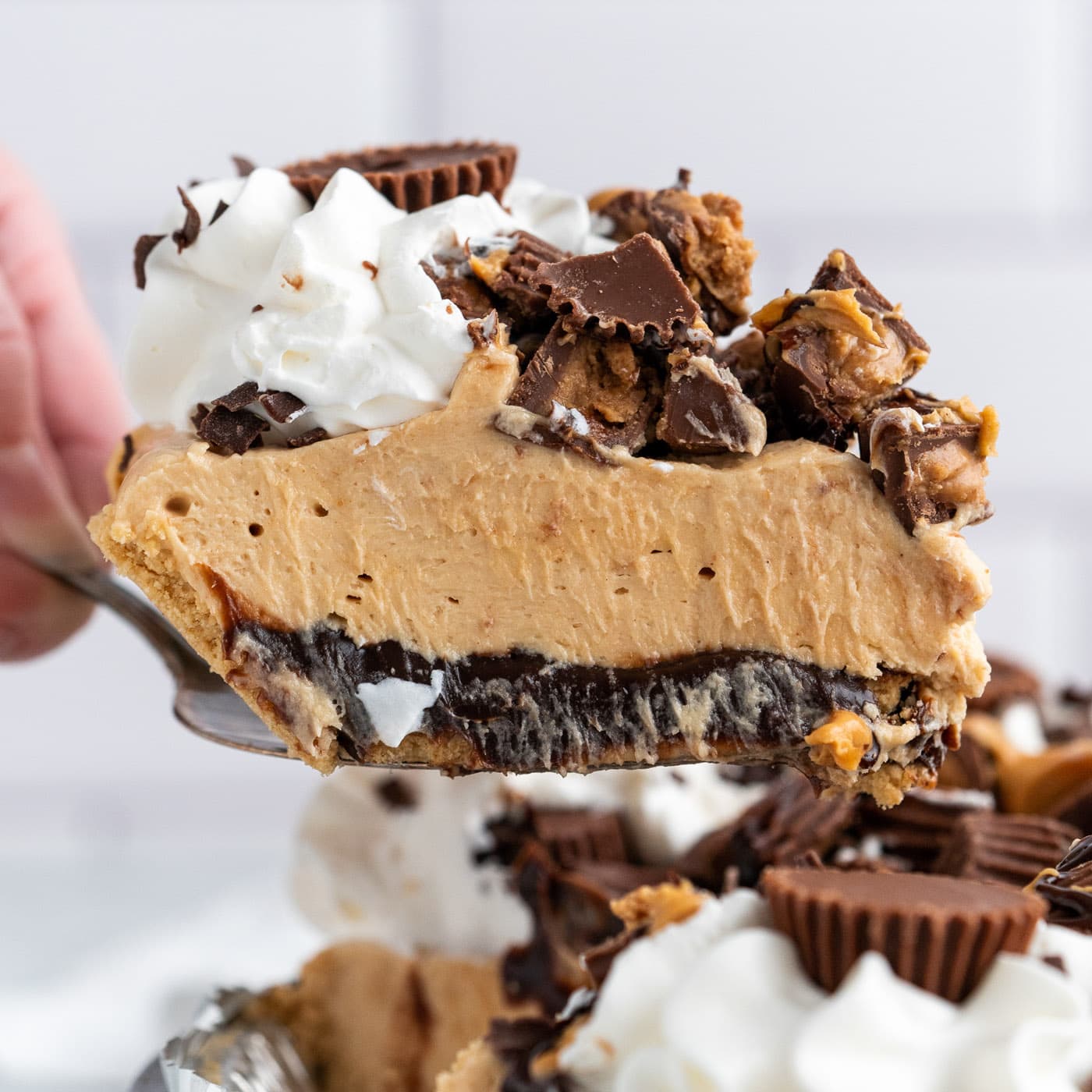 Reeses Peanut Butter Pie Reeses Peanut Butter Pie