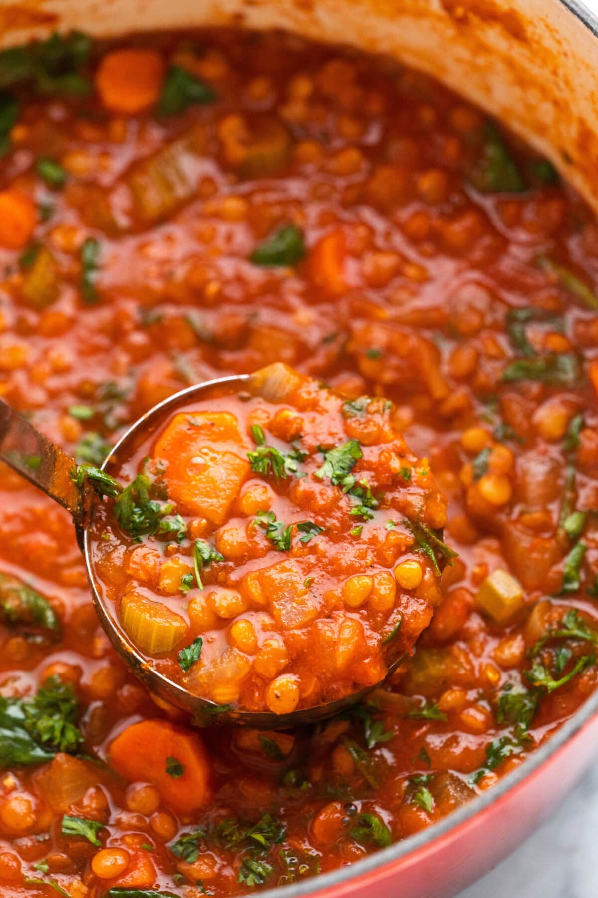 ladle of Lentil Soup