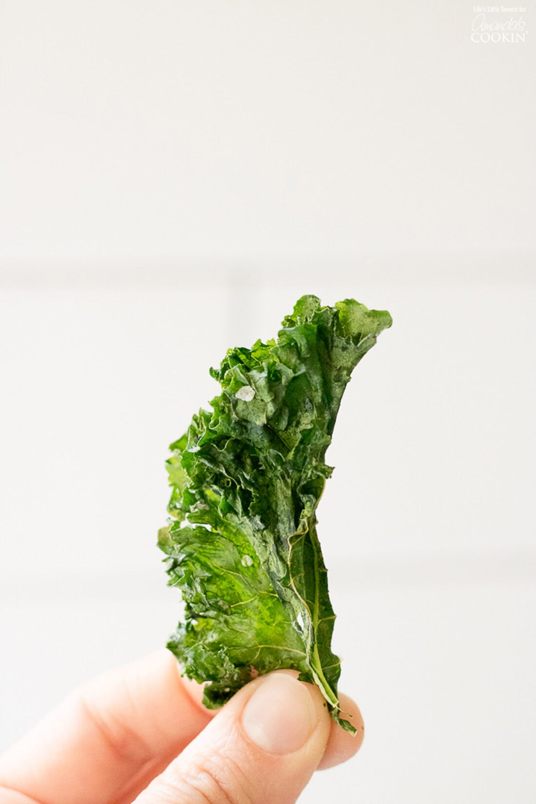 Hand holding a Kale Chip