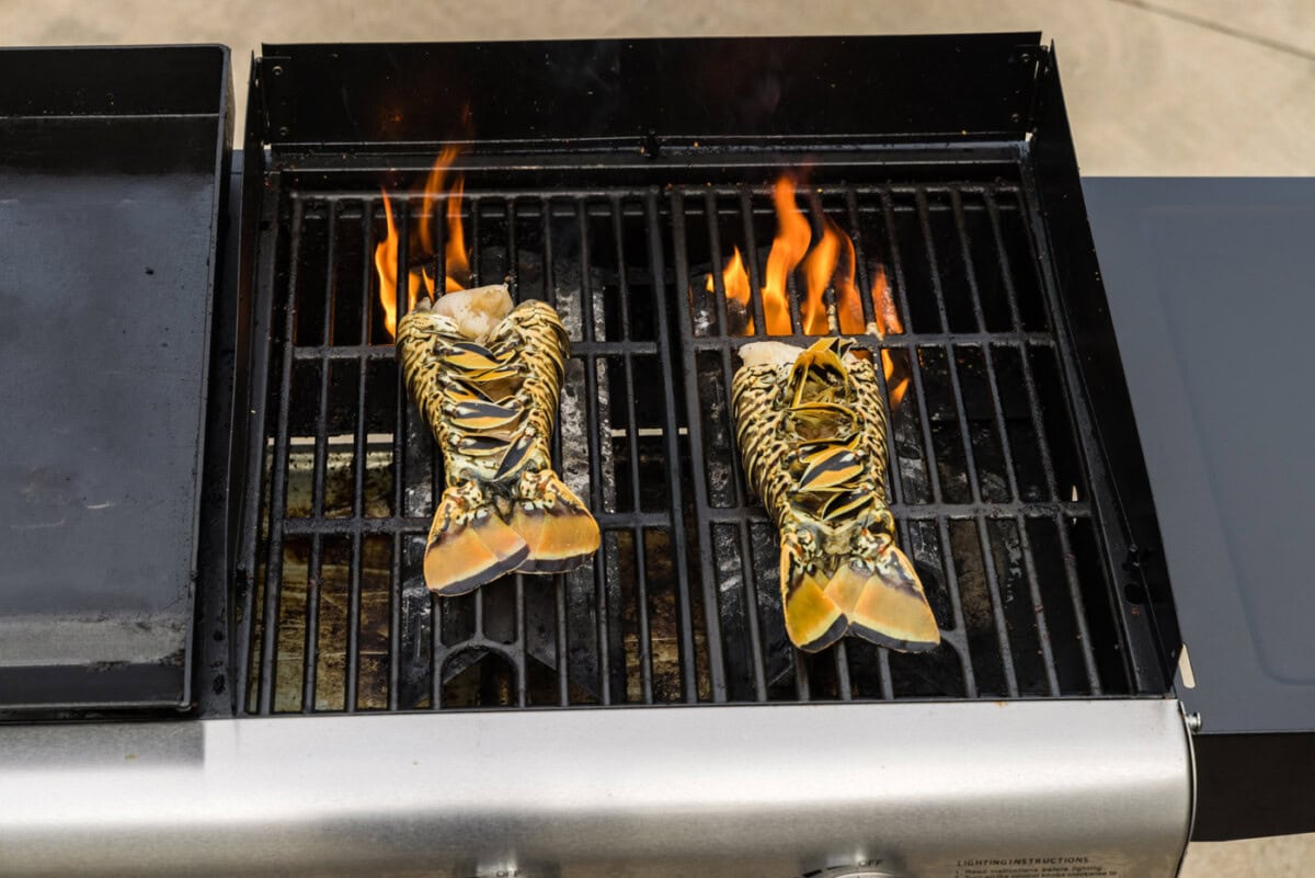 cooking lobster tail, meat side down on the grill