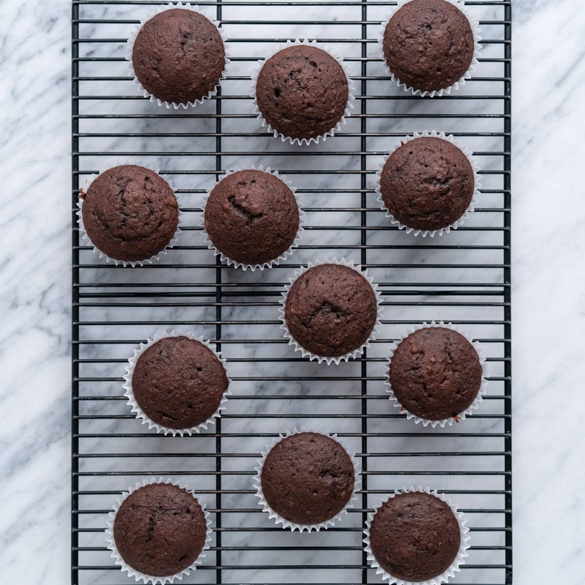 chocolate cupcakes cooling on a wire rack