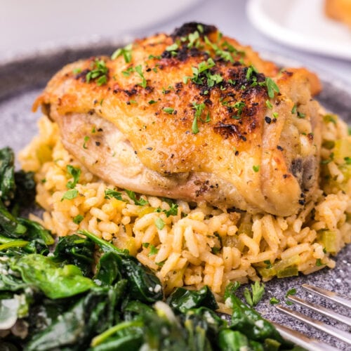 Close up photo of a Instant Pot Chicken Thigh on a bed of rice