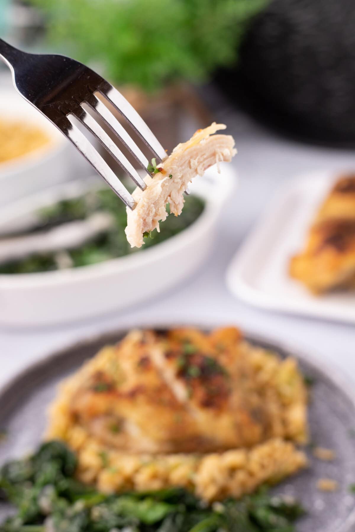 Piece of Instant Pot Chicken Thigh on a fork