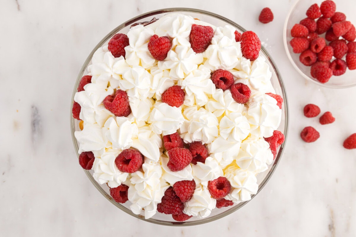 raspberries on top of raspberry trifle