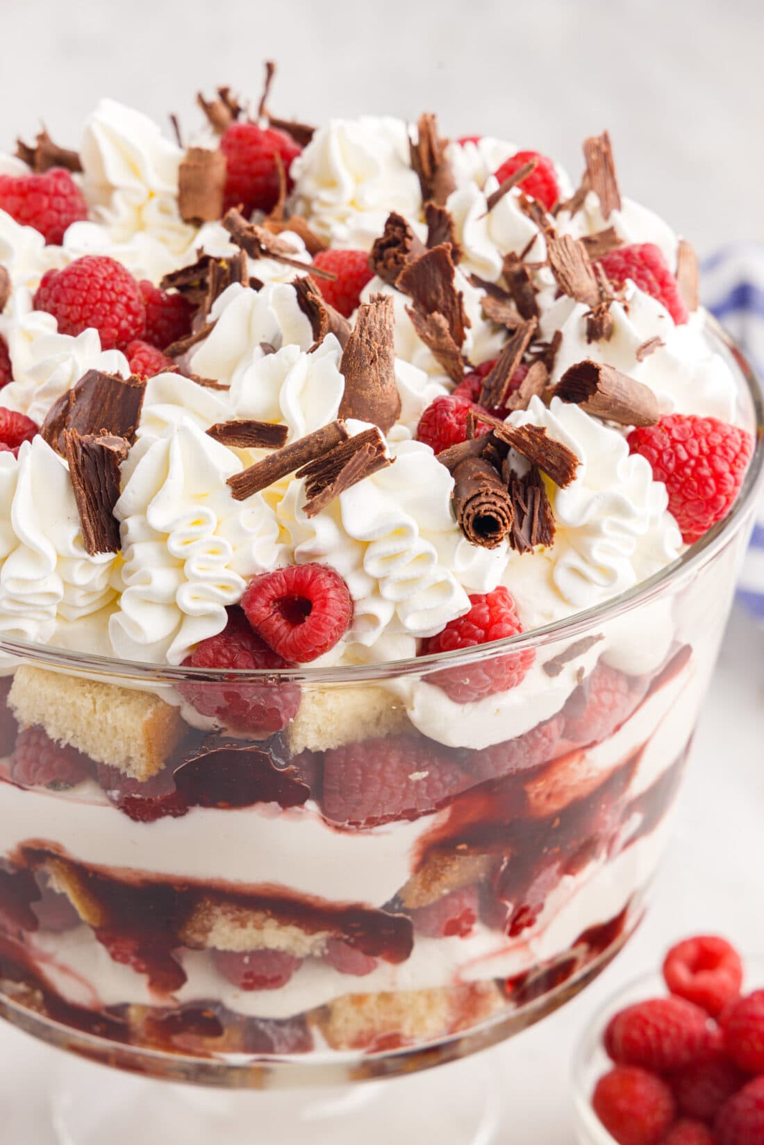 Close up photo of a Raspberry Trifle