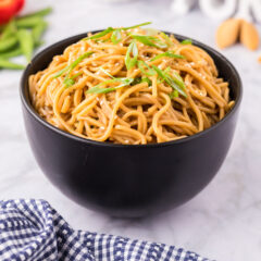 Bowl of Teriyaki Noodles