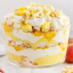 Photo of a Mango Trifle