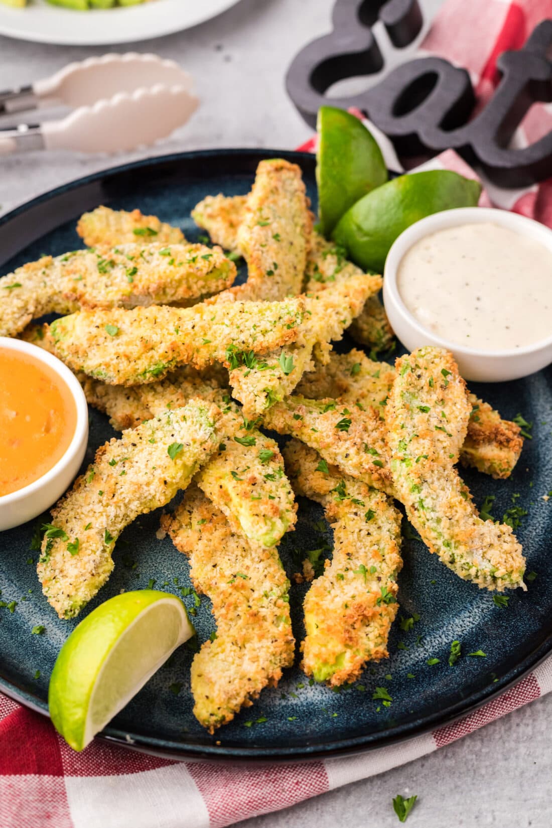 Close up photo of a plate of Air Fryer Avocado Fries