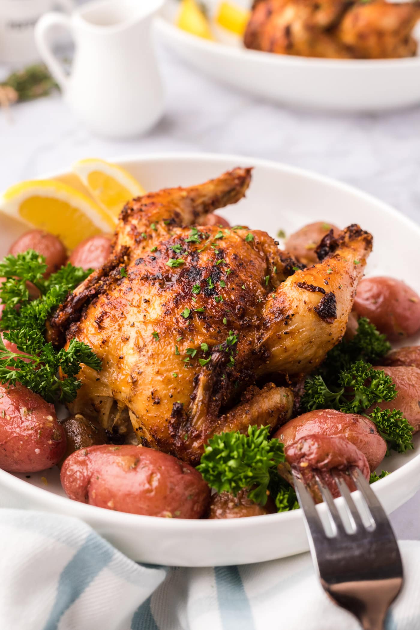 Air Fryer Cornish Hen Amanda's Cookin' Air Fryer Recipes