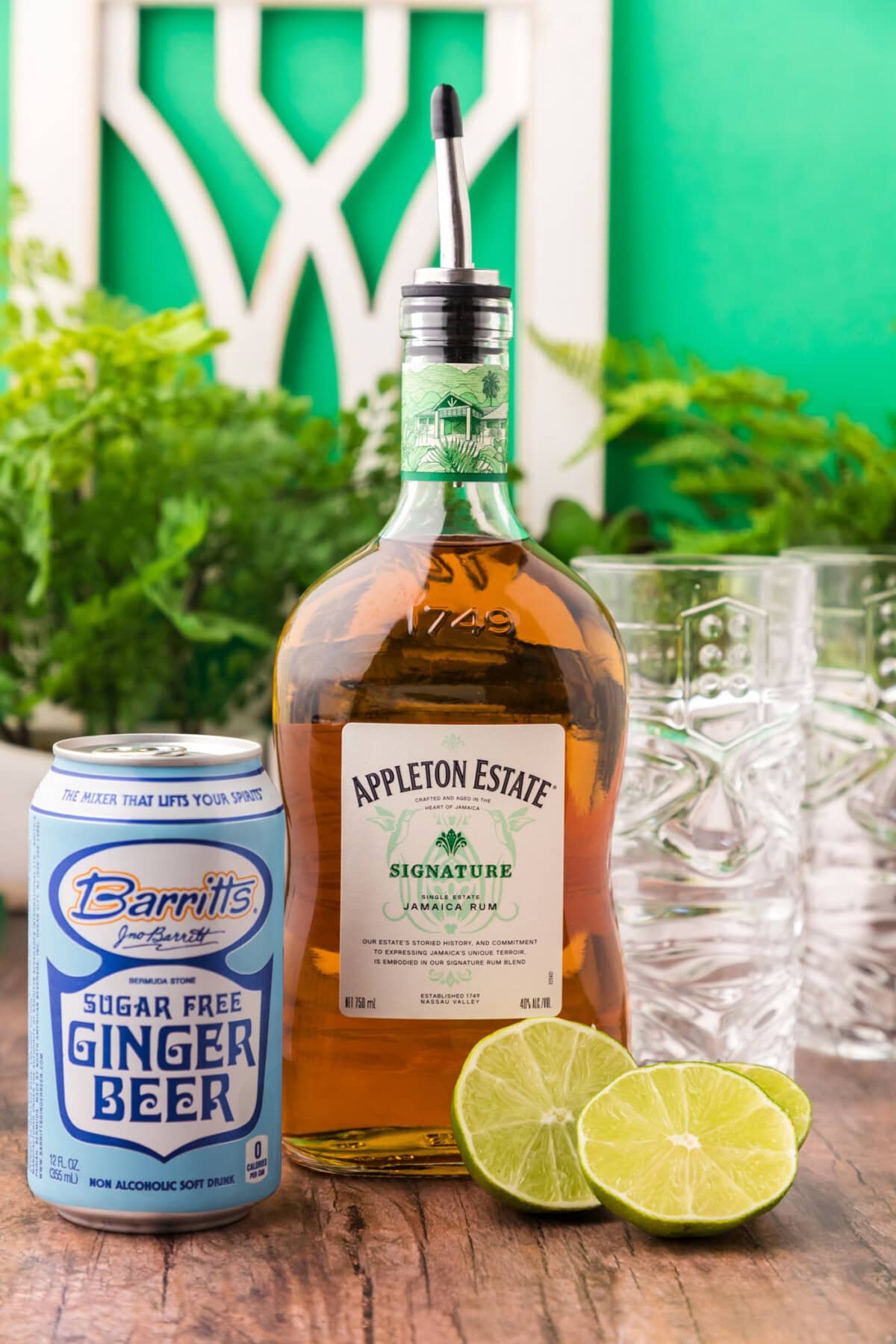 Ingredients for Jamaican Mule