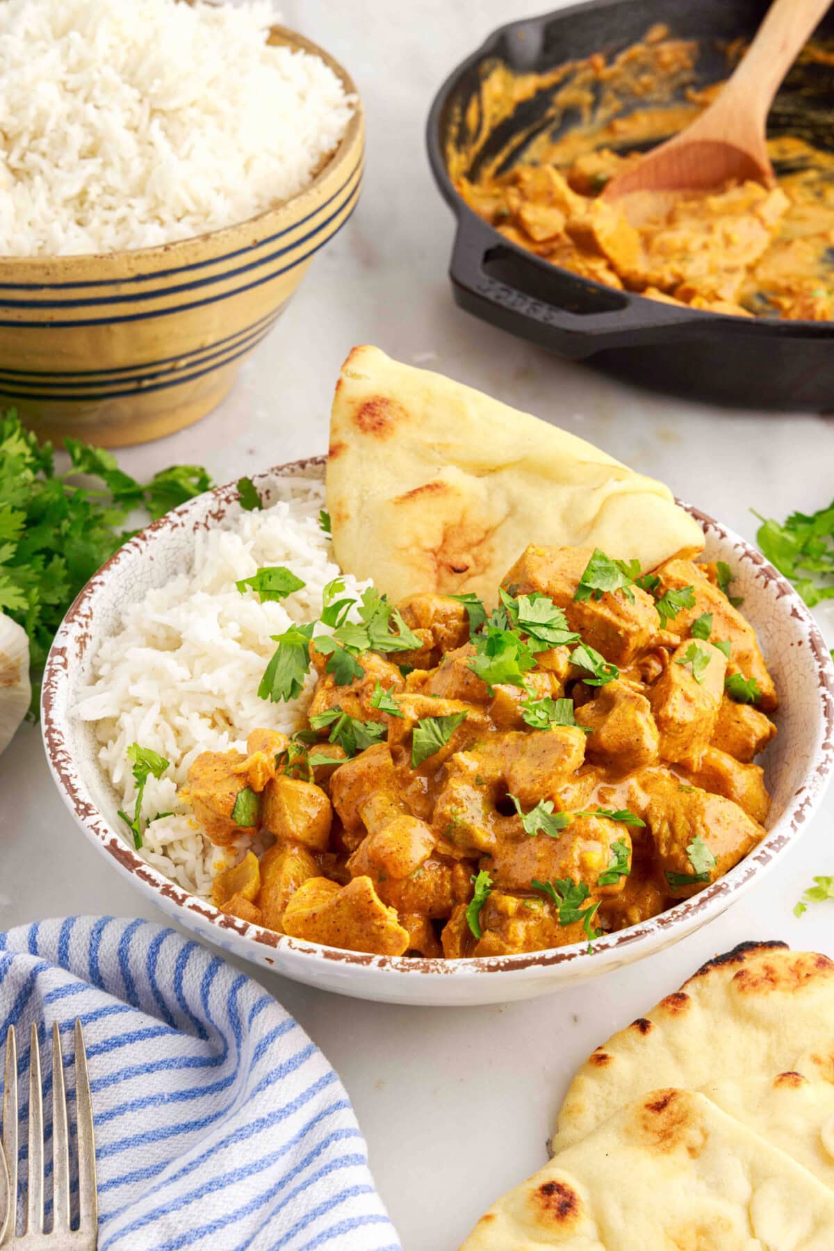 Bowl of Chicken Curry with rice