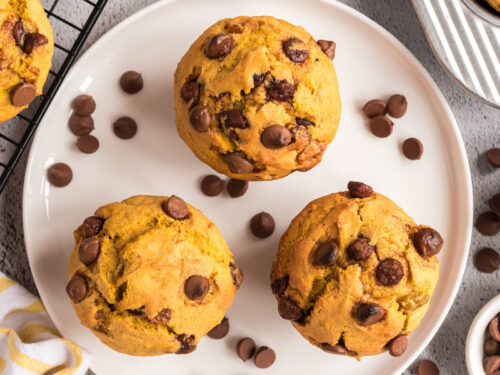 https://amandascookin.com/wp-content/uploads/2023/08/Chocolate-Chip-Pumpkin-Muffins-RCSQ-500x375.jpg