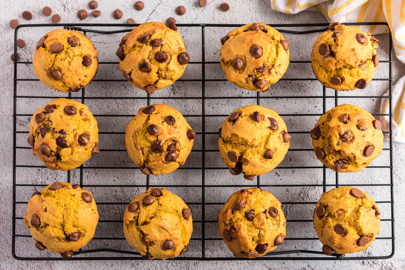 chocolate chip pumpkin muffins on a wire cooling rack