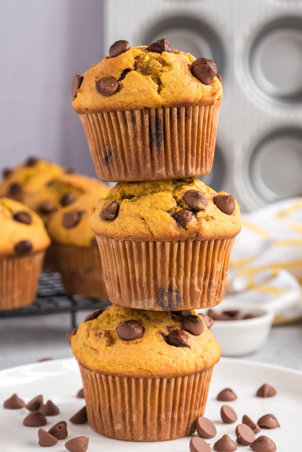 stack of Chocolate Chip Pumpkin Muffins