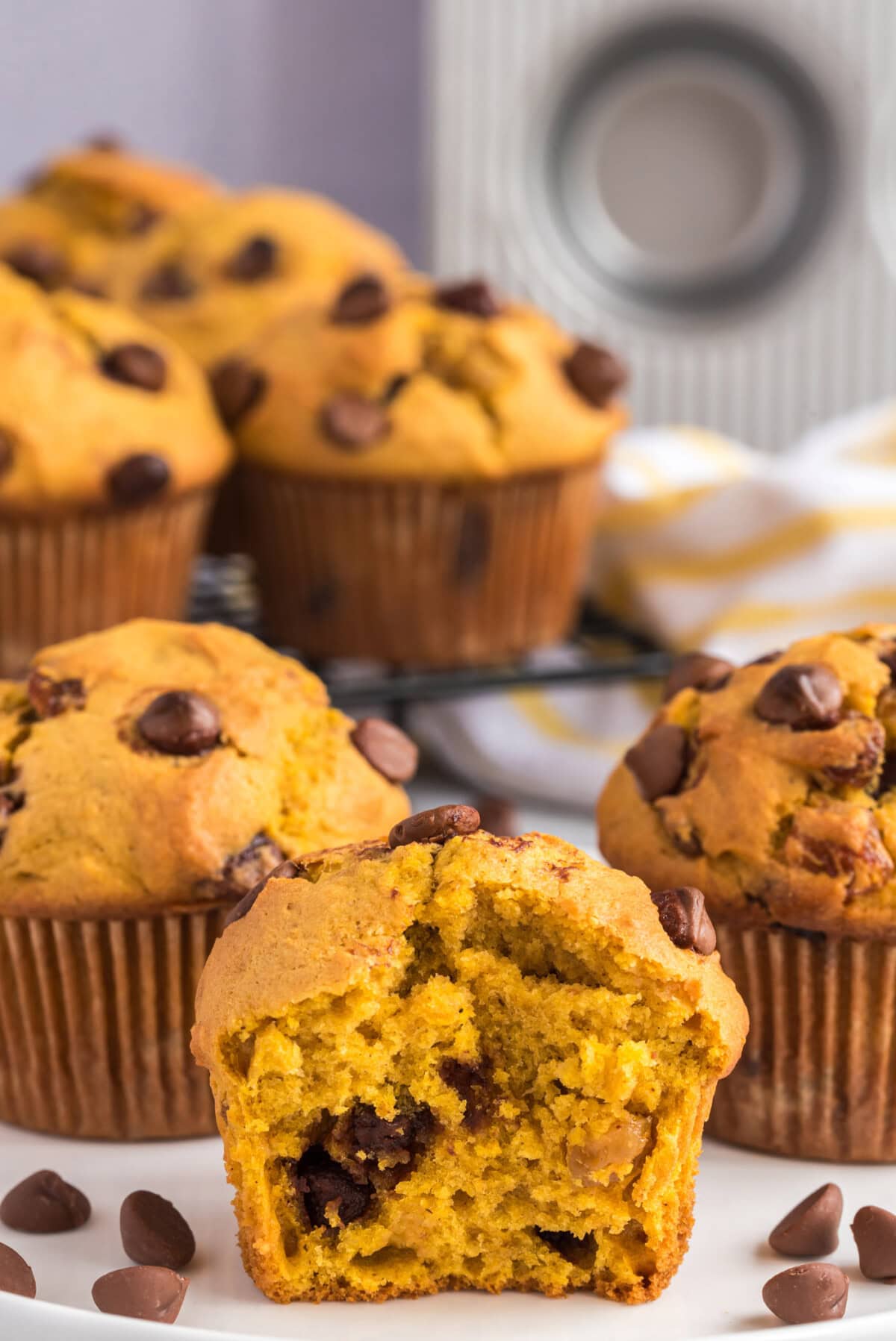 halved Chocolate Chip Pumpkin Muffin