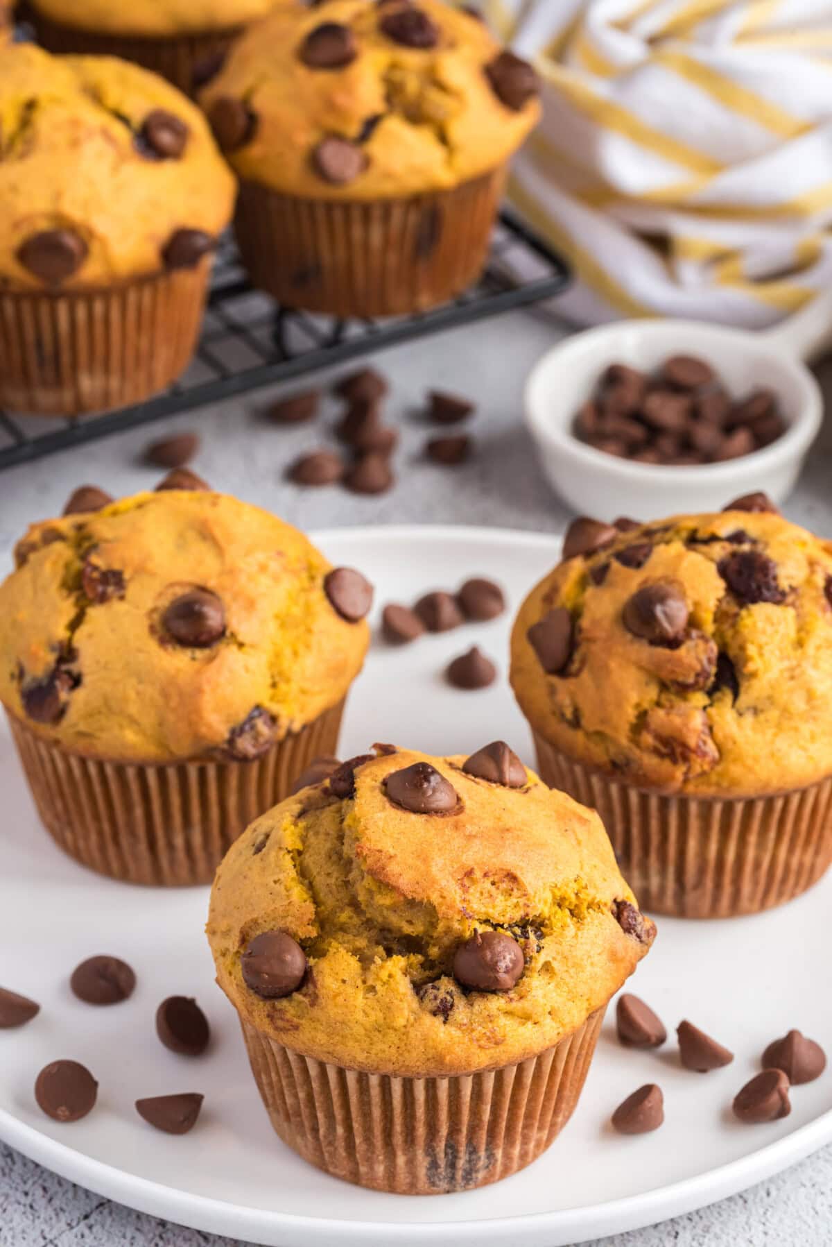 Chocolate Chip Pumpkin Muffins on a plate