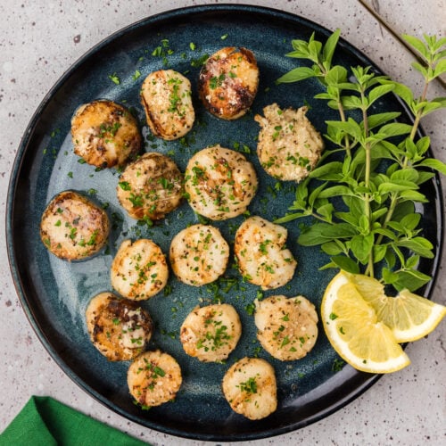 Plate of Grilled Scallops with herbs and lemon slices on the side