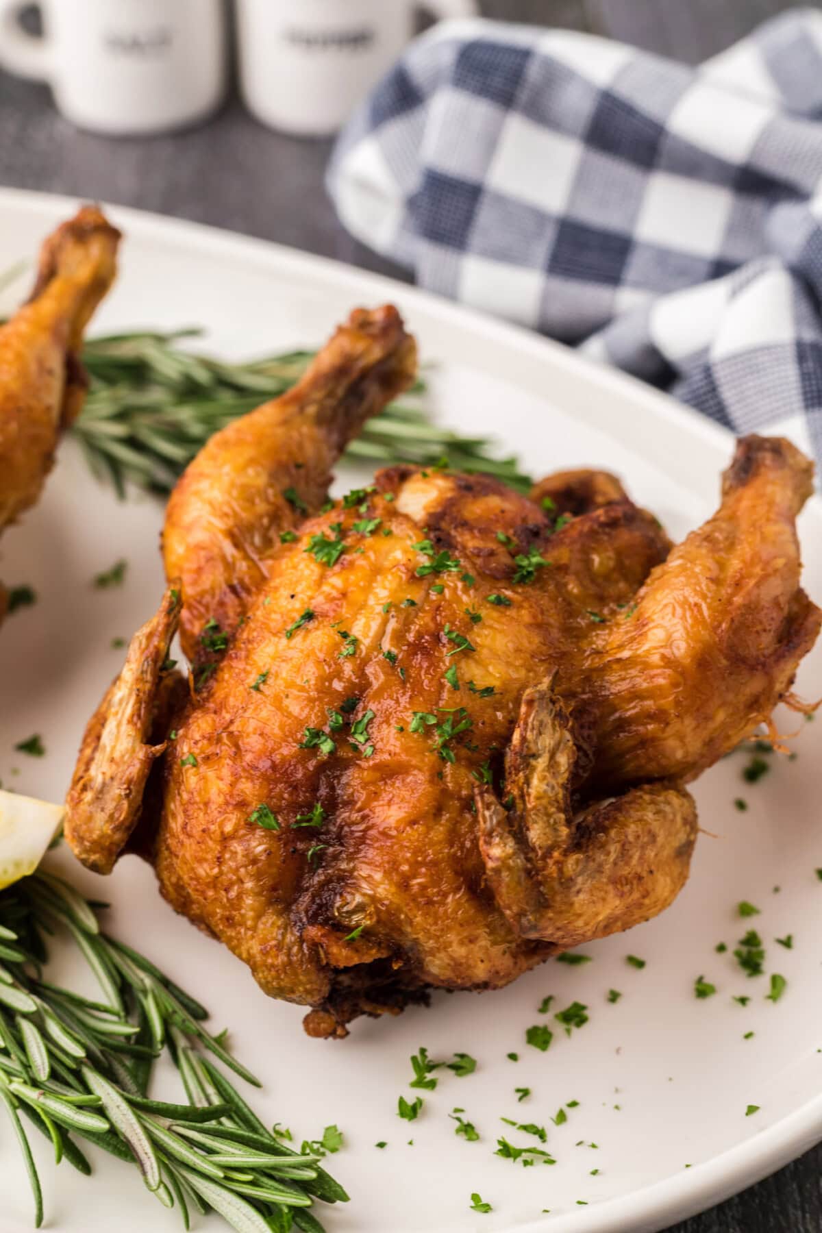 Close up photo of a Deep Fried Cornish Hen