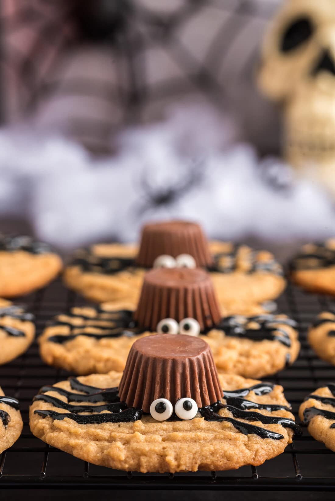 Row of Spider Cookies