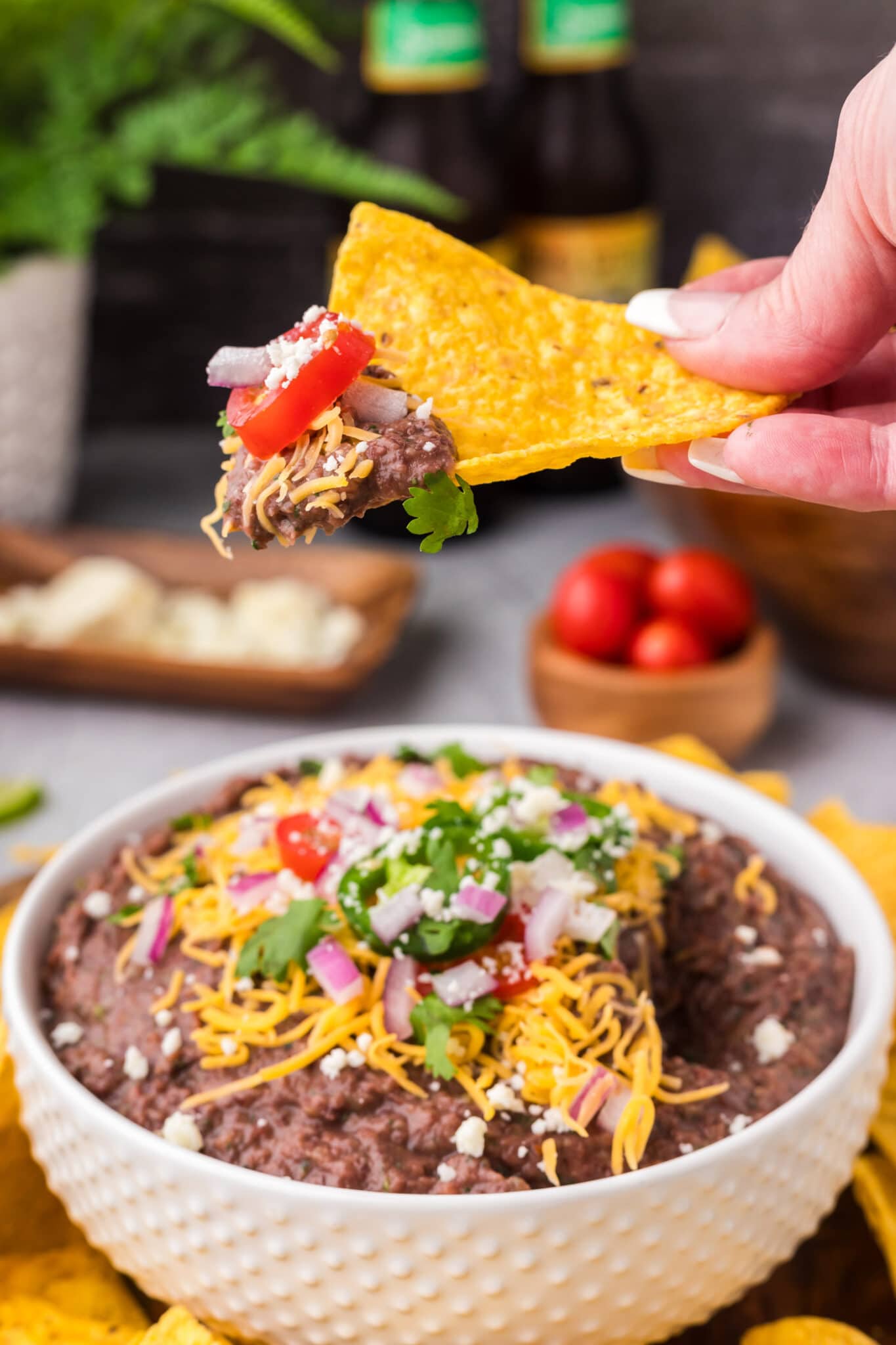 Black Bean Dip Amanda's Cookin' Dips & Spreads