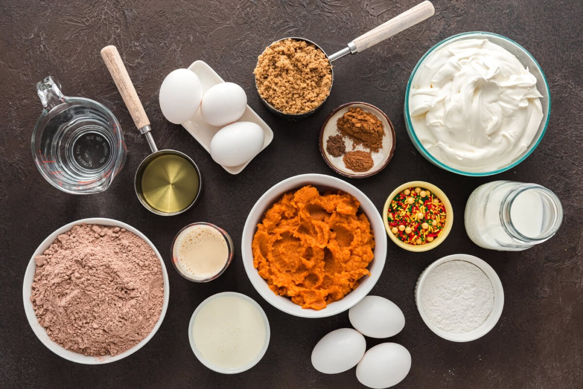Ingredients for Chocolate Pumpkin Magic Cake