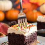 Chocolate Pumpkin Magic Cake