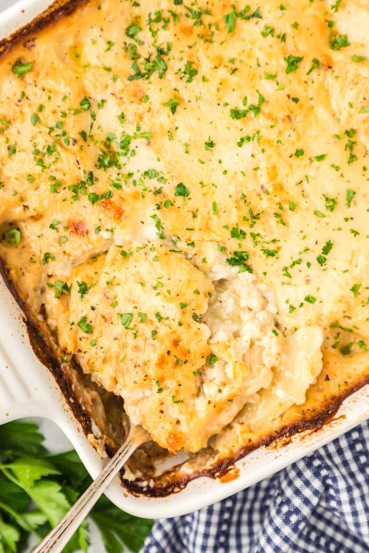 Close up photo of a pan of Scalloped Potatoes
