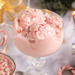 Close up photo of Homemade Peppermint Ice Cream in a sundae cup