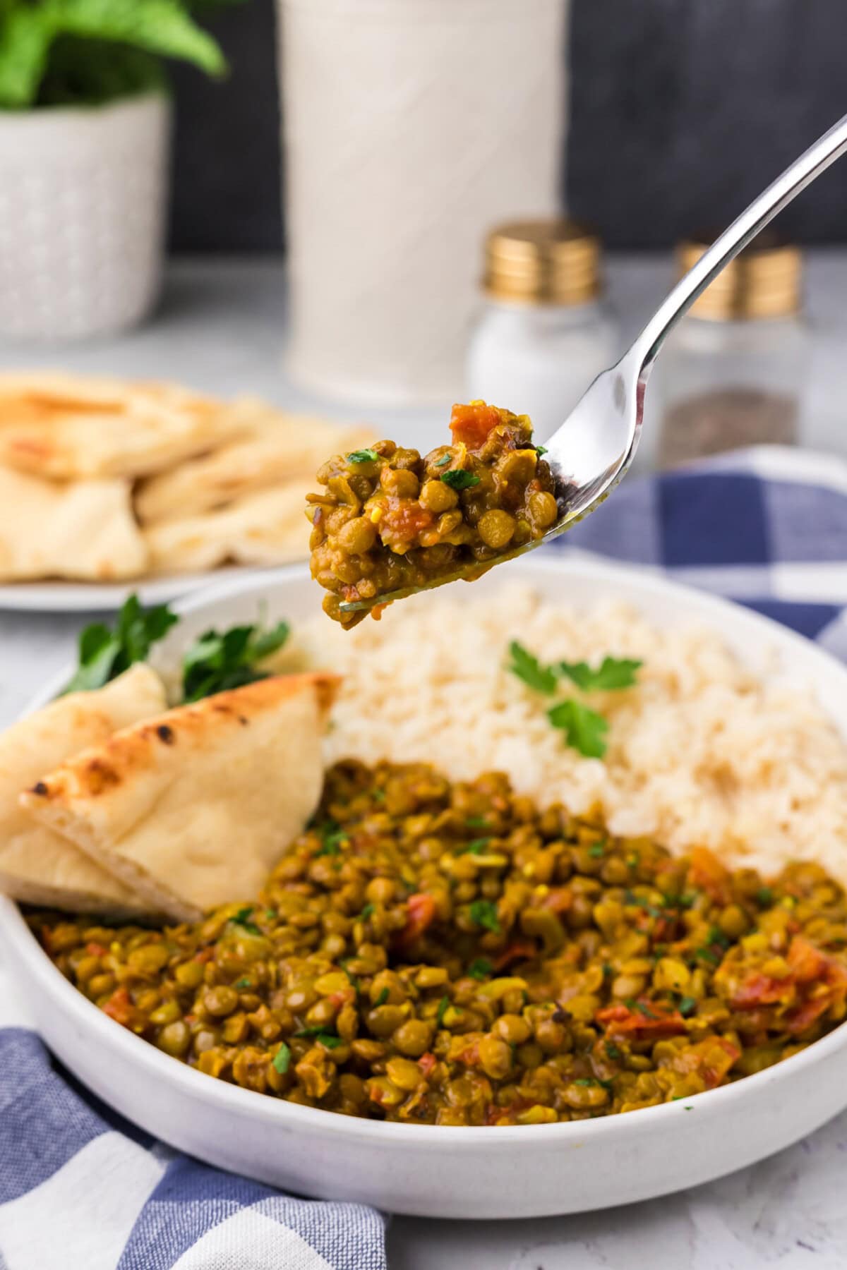 Lentil Curry on a fork held above a plate of Lentil Curry
