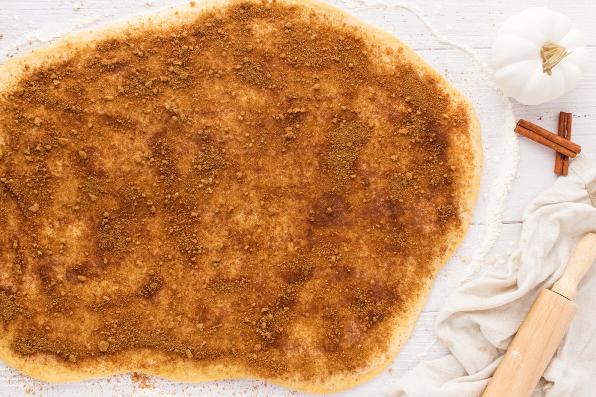 cinnamon, nutmeg, and brown sugar spread over cinnamon roll dough