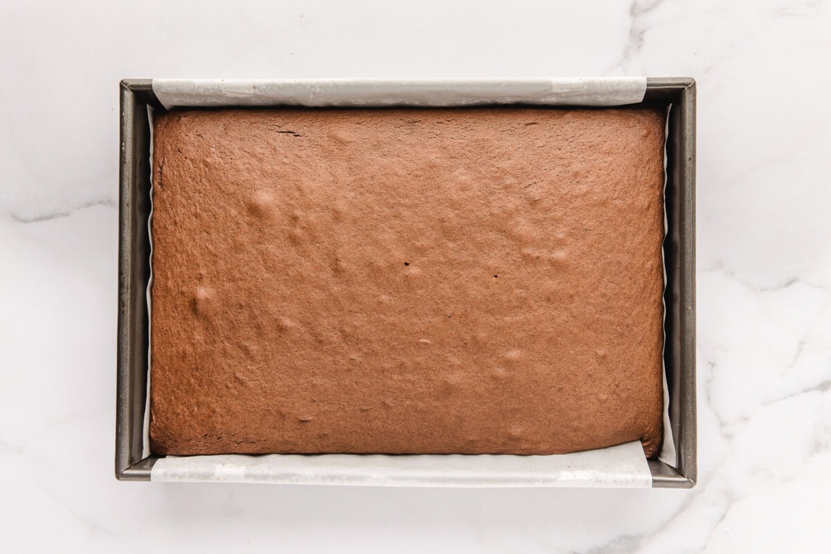baked chocolate cake in a pan